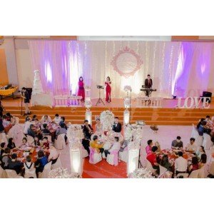 PINK THEME HALL DECO
