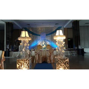 WALKWAY & STAGE BACKDROP