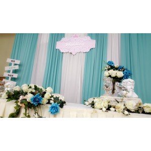 RECEPTION WITH BACKDROP
