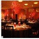 RED VINE HALL DECO