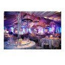 LUXURY PINK THEME