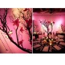 PINK & BLACK THEME 2