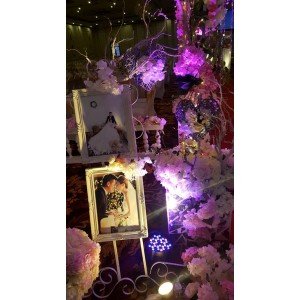 PHOTO GALLERY