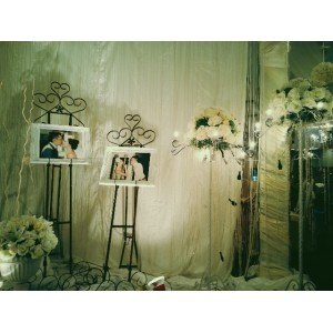 PHOTO GALLERY