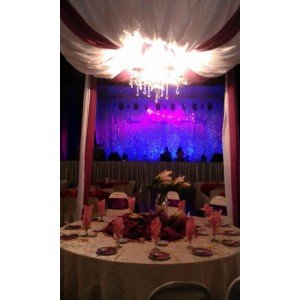 PURPLE THEME HOST TABLE DESIGN