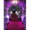 PURPLE THEME PHOTO GALLERY