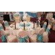 ＴＩＦＦＡＮＮＩ　ＢＬＵＥ　ＳＴＡＧＥ　＆　ＨＯＳＴ　ＴＡＢＬＥ